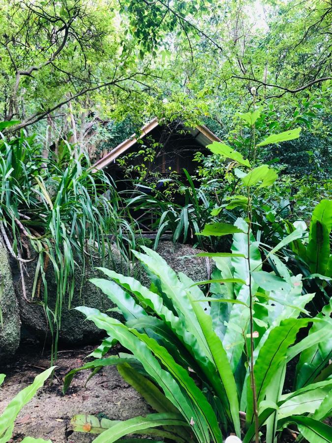 Bambu Huts Hotel Baan Tai Ngoại thất bức ảnh